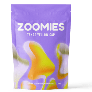 Texas Yellow Cap | Buy Shrooms Online Canada