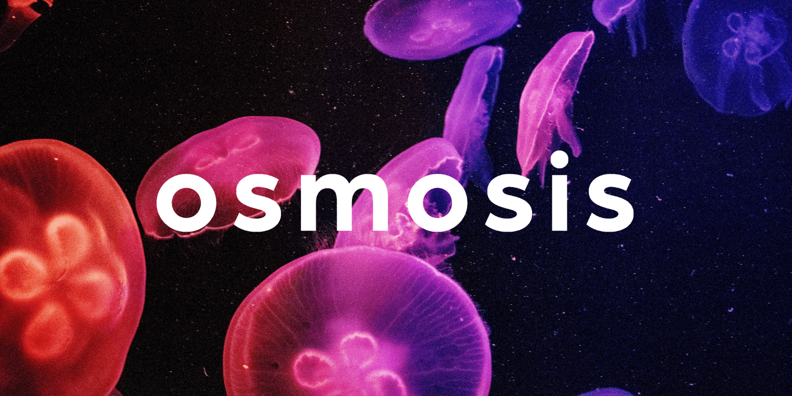 Zoomies osmosis banner | Buy Shrooms Online Canada