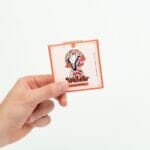 Wonder – Psilocybin Chocolate Bar – Blood Orange | Buy Shrooms Online Canada