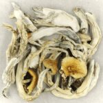 Treasure Coast | Buy Shrooms Online Canada
