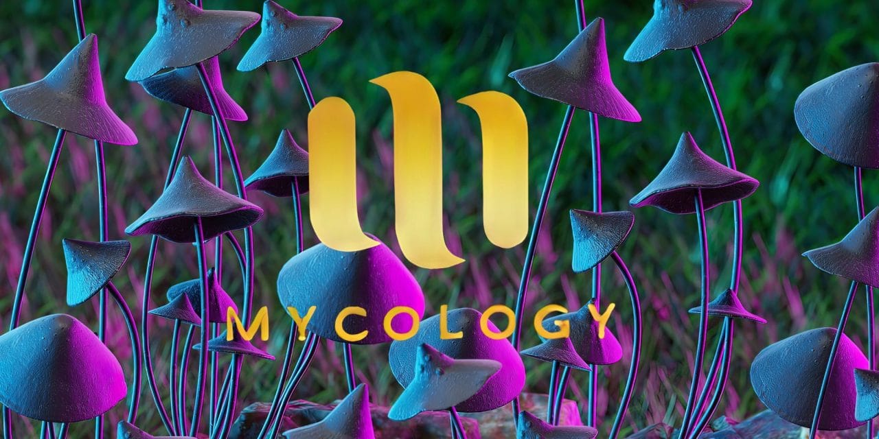Zoomies Summer 2023 Banner - Mycology | Buy Shrooms Online Canada