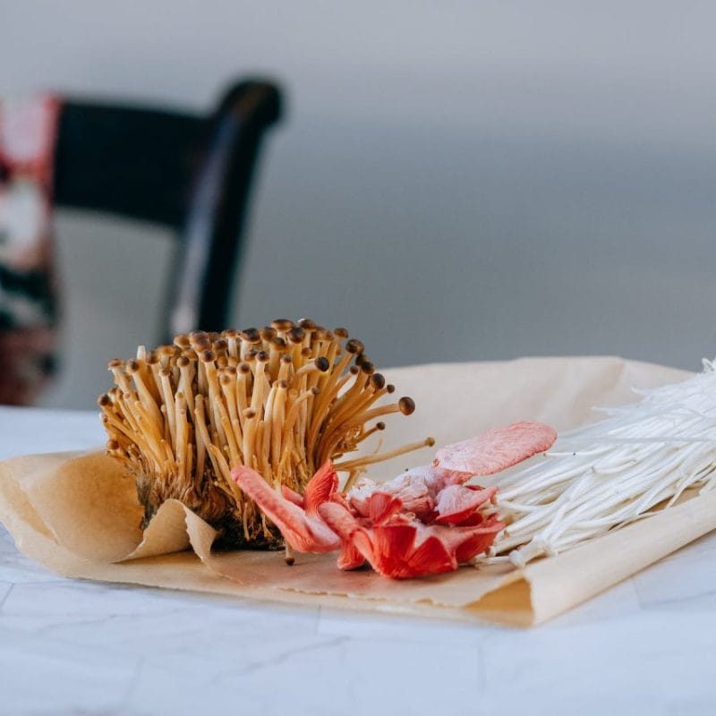 | Buy Shrooms Online Canada Buy Shrooms Online Canada (1) | Buy Shrooms Online Canada